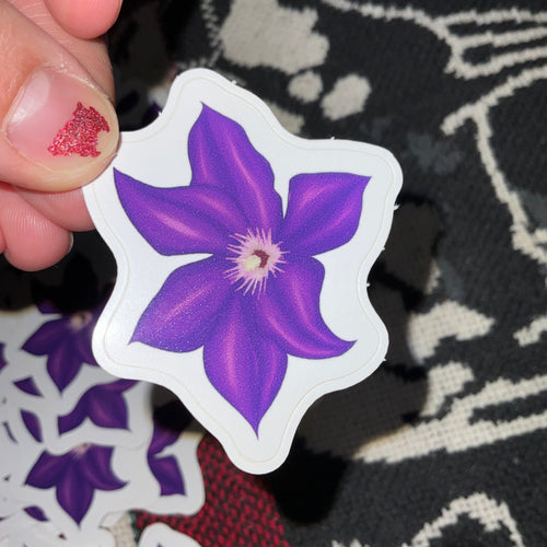 Purple Clematis Flower Sticker