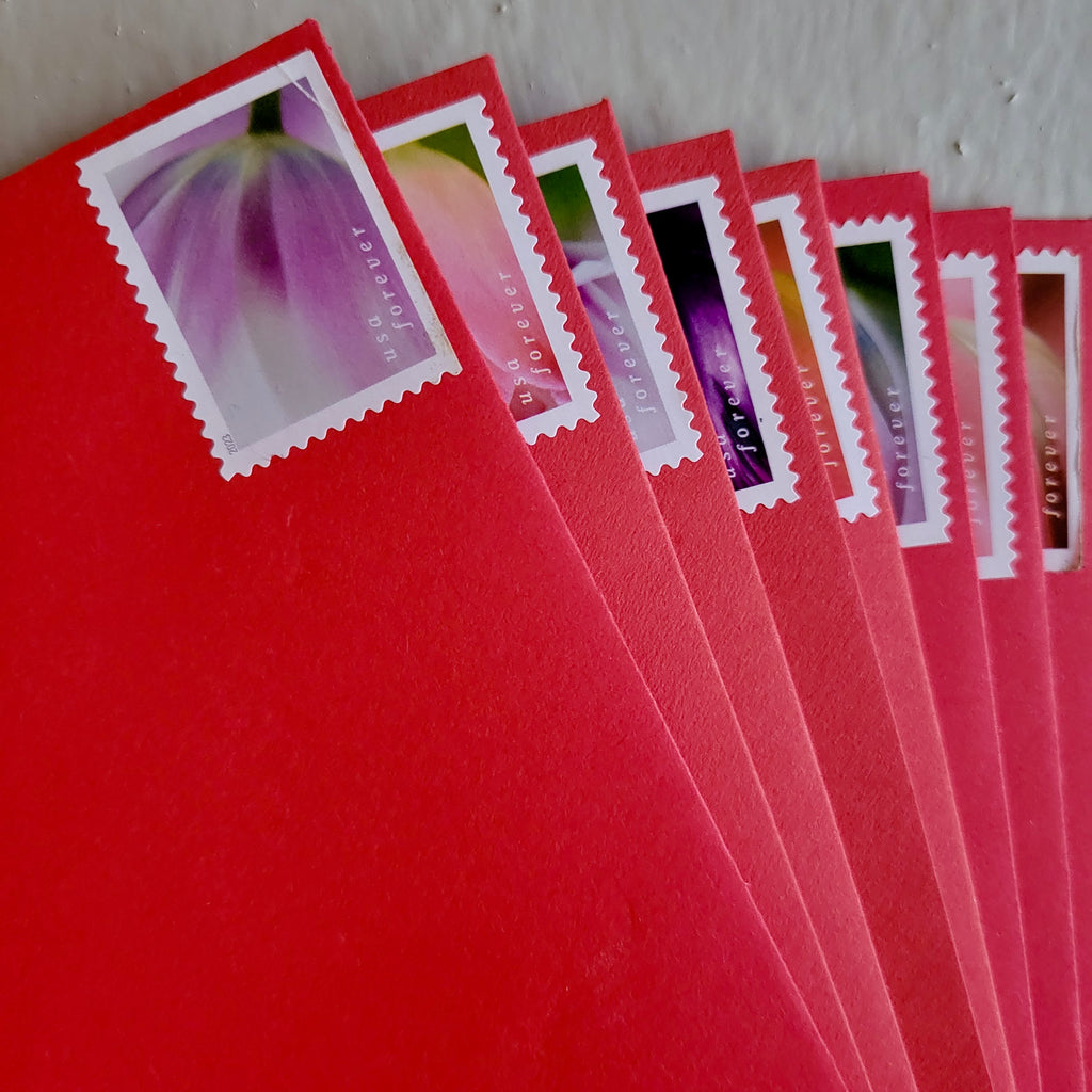 Your Honey Sticks Mail Club Monthly Membership