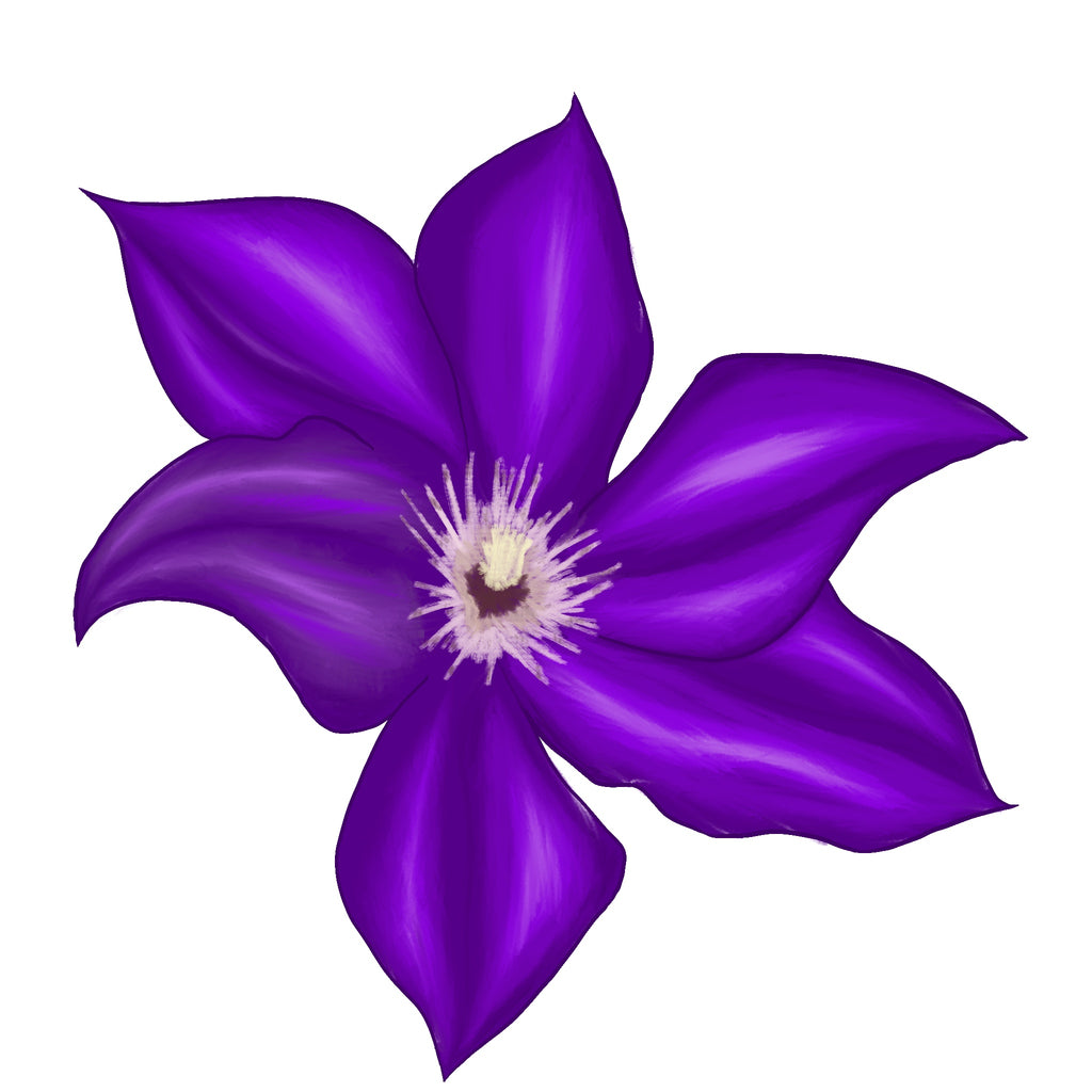 Purple Clematis Flower Sticker